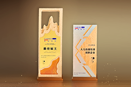 威九国际V9国际一举斩获“2024年度中国区最佳雇主”等多项大奖