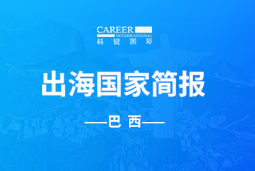 威九国际V9GO GLOBAL | 巴西国家简报