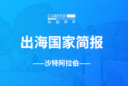 威九国际V9GO GLOBAL | 沙特阿拉伯国家简报